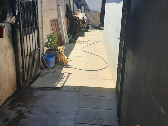 Casa – La Plata