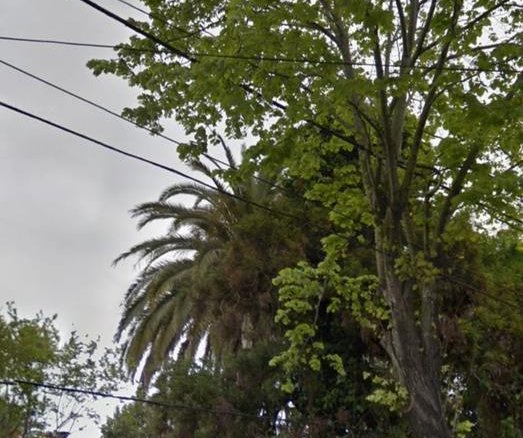 Terreno en Venta-Calle 116 37 y 38- La Plata