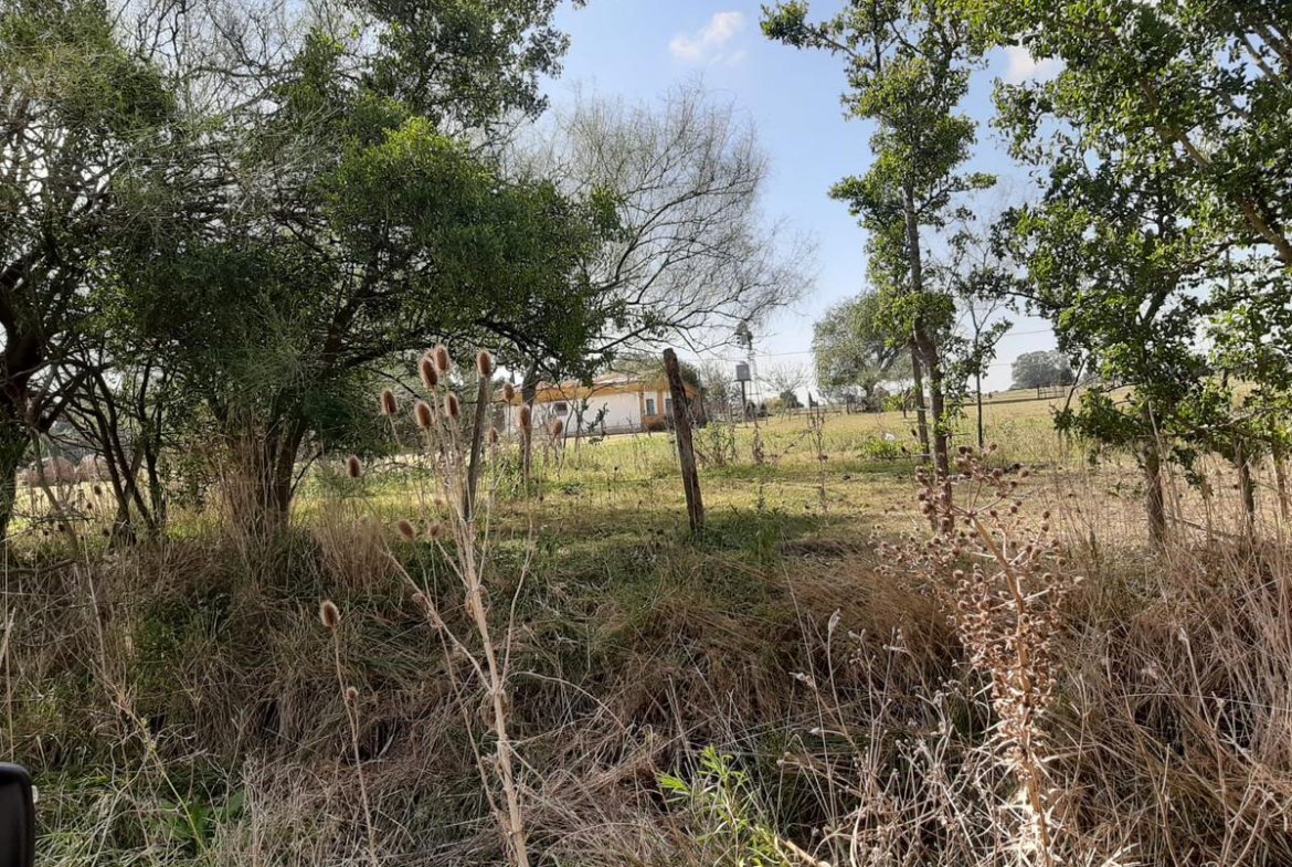 Terreno – Bme Bavio Gral Mansilla