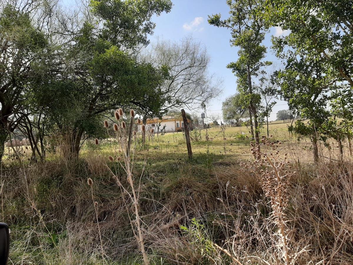 Terreno – Bme Bavio Gral Mansilla