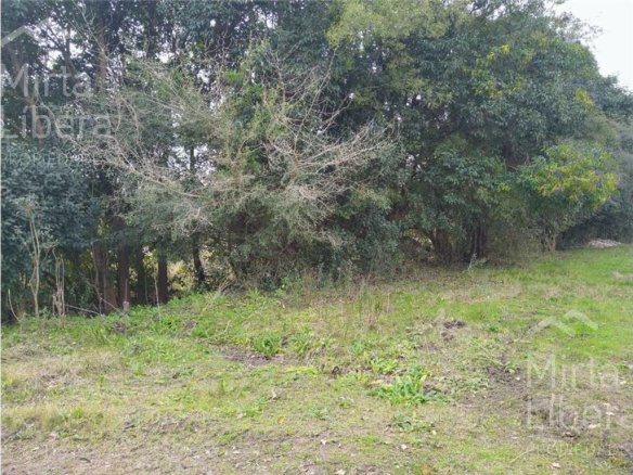 Terreno – Ignacio Correas Arana