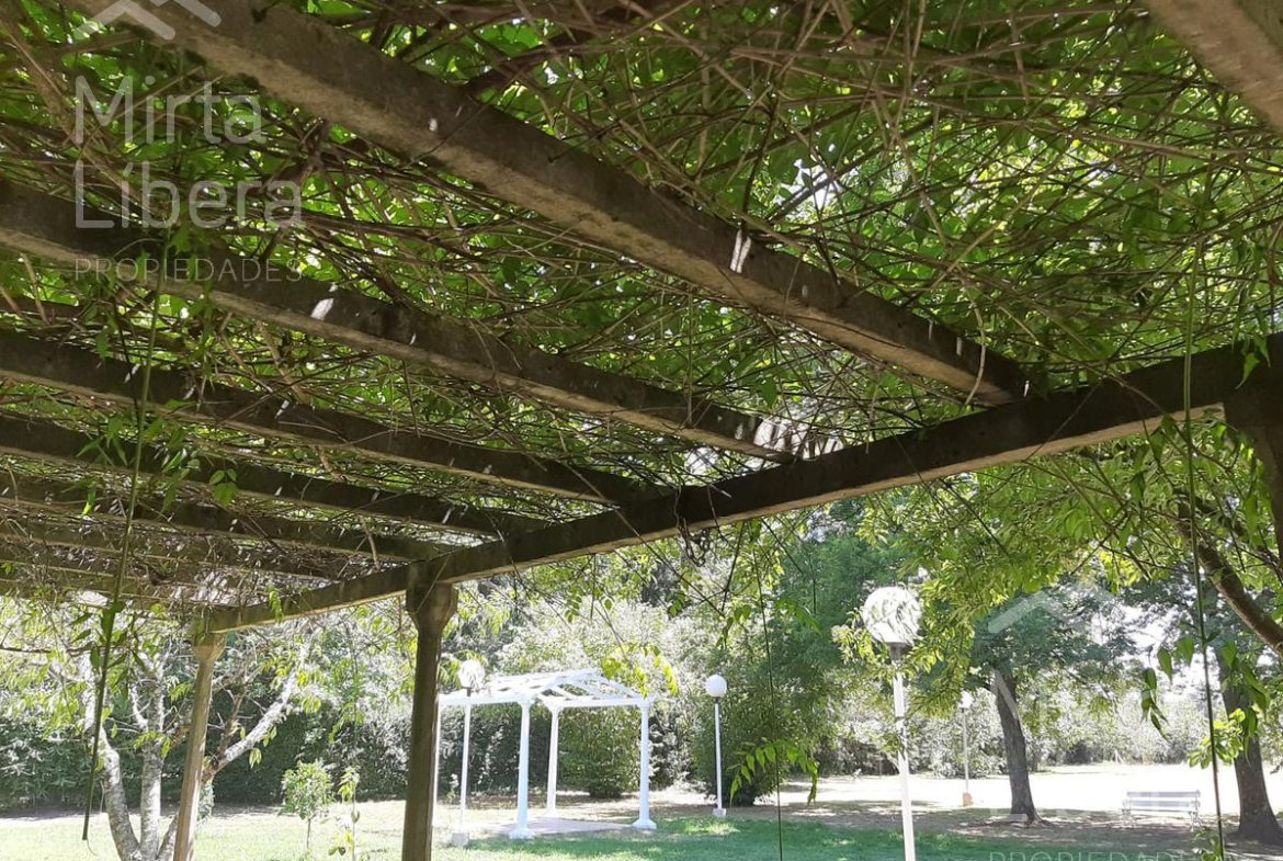 Quinta – Arana