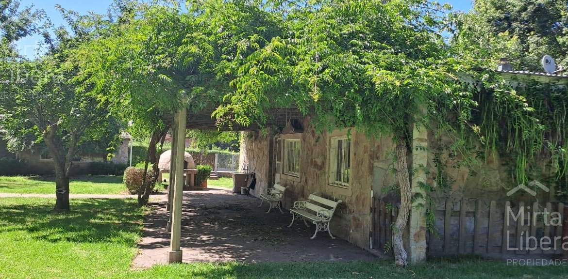 Quinta – Arana