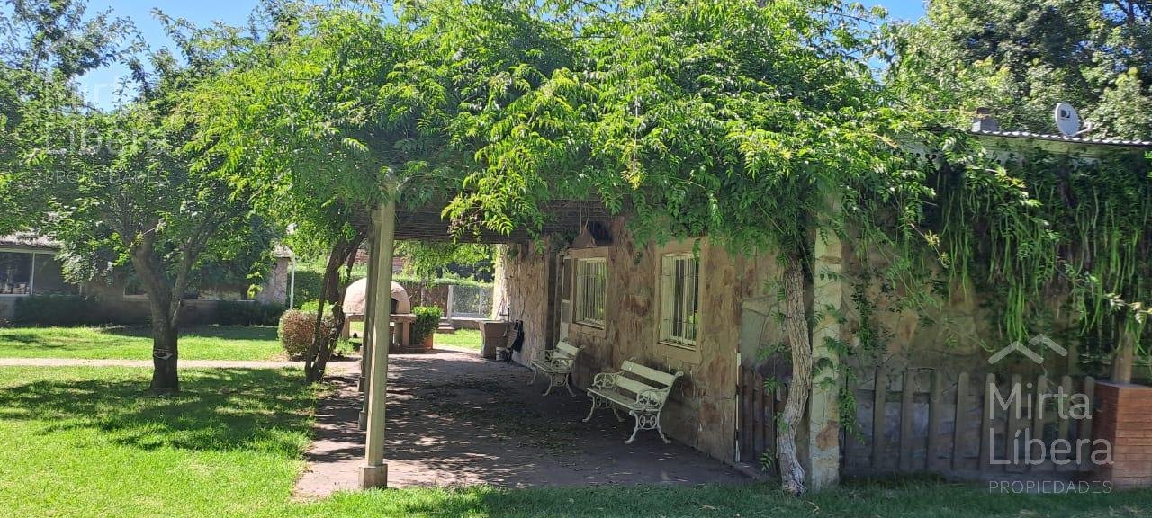 Quinta – Arana
