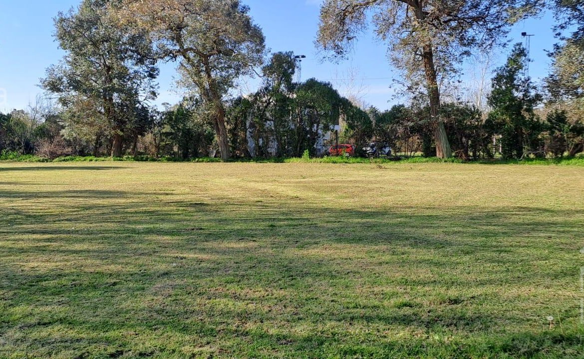 Quinta – Arana