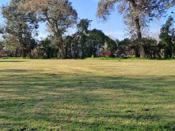 Quinta – Arana