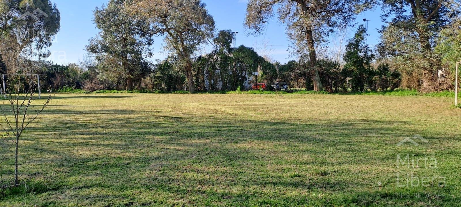 Quinta – Arana