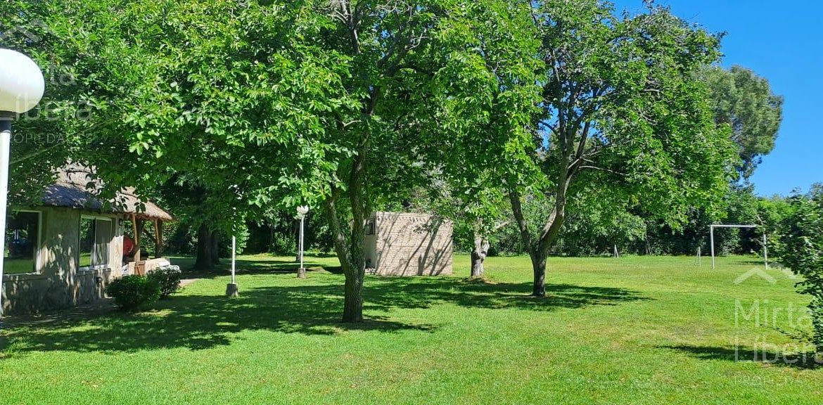 Quinta – Arana