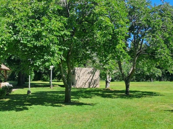 Quinta – Arana