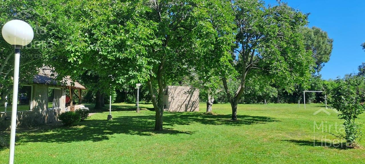 Quinta – Arana
