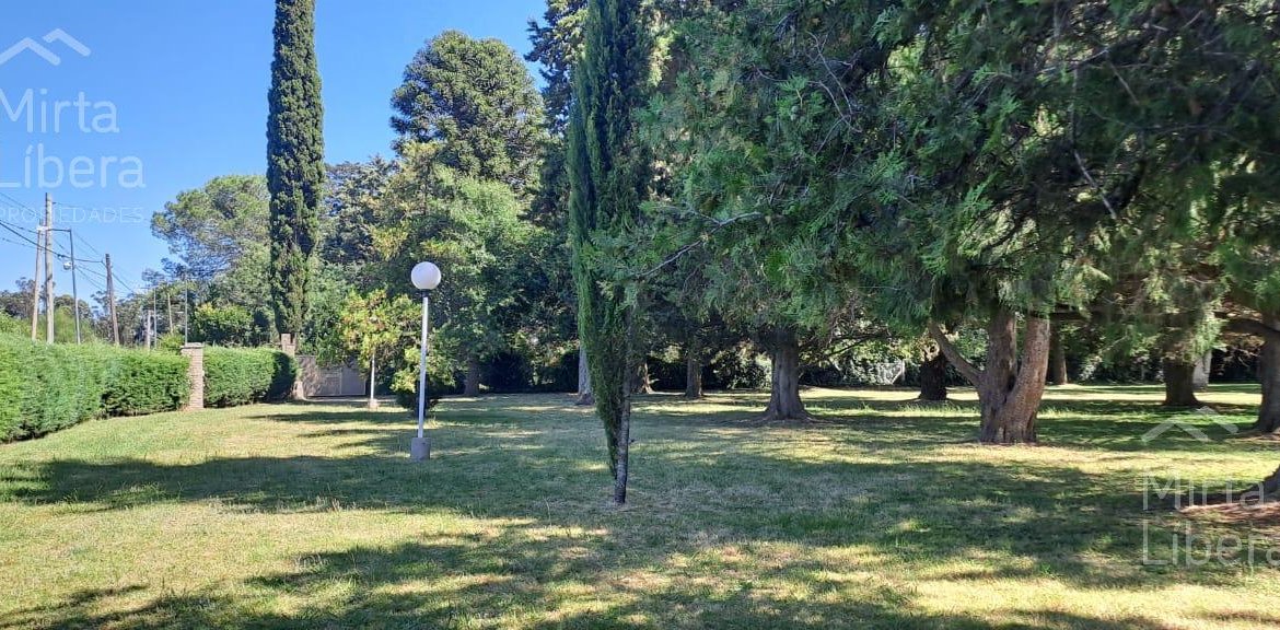 Quinta – Arana