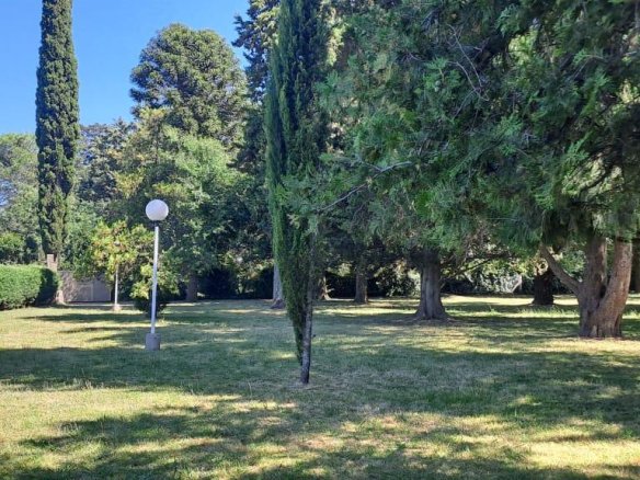 Quinta – Arana