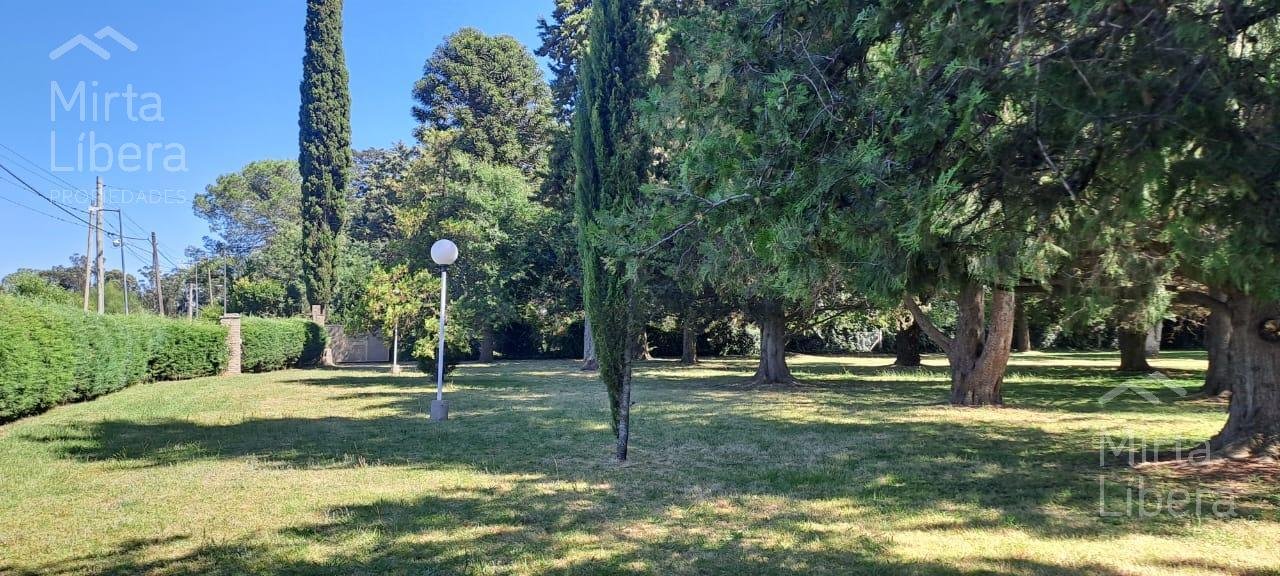 Quinta – Arana