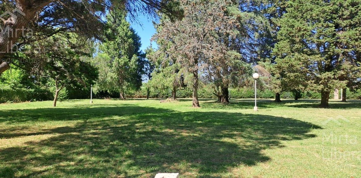 Quinta – Arana