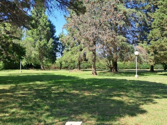 Quinta – Arana