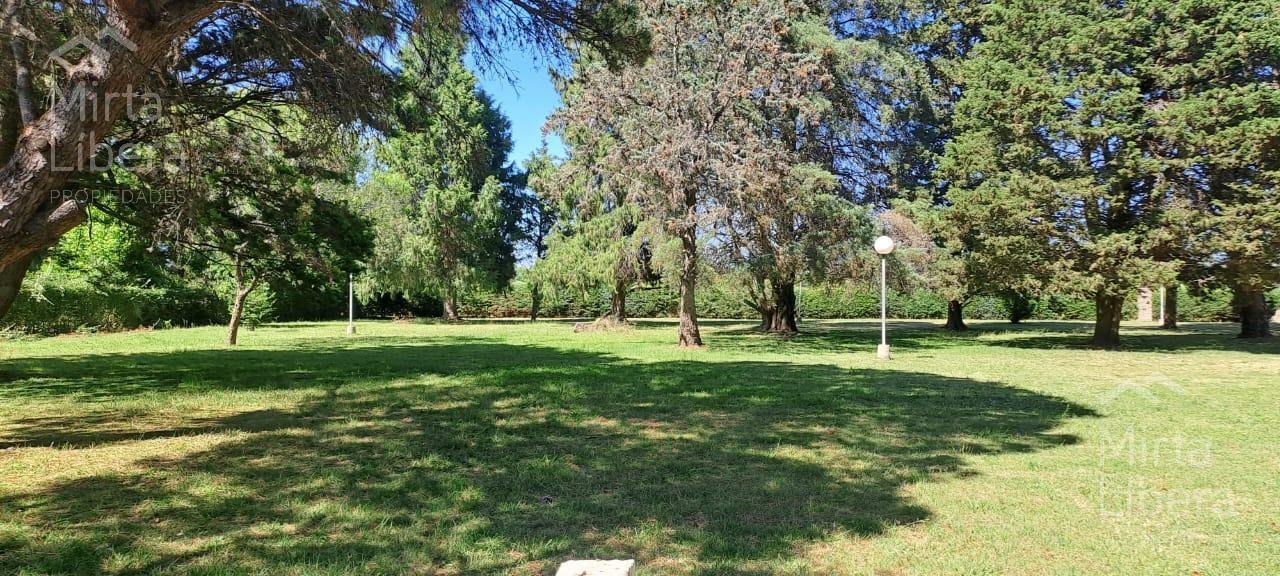 Quinta – Arana