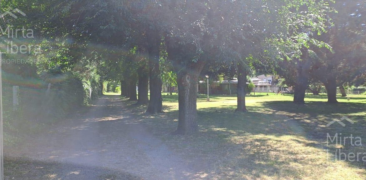 Quinta – Arana