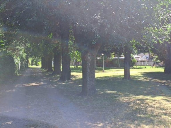 Quinta – Arana