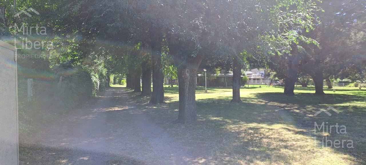 Quinta – Arana