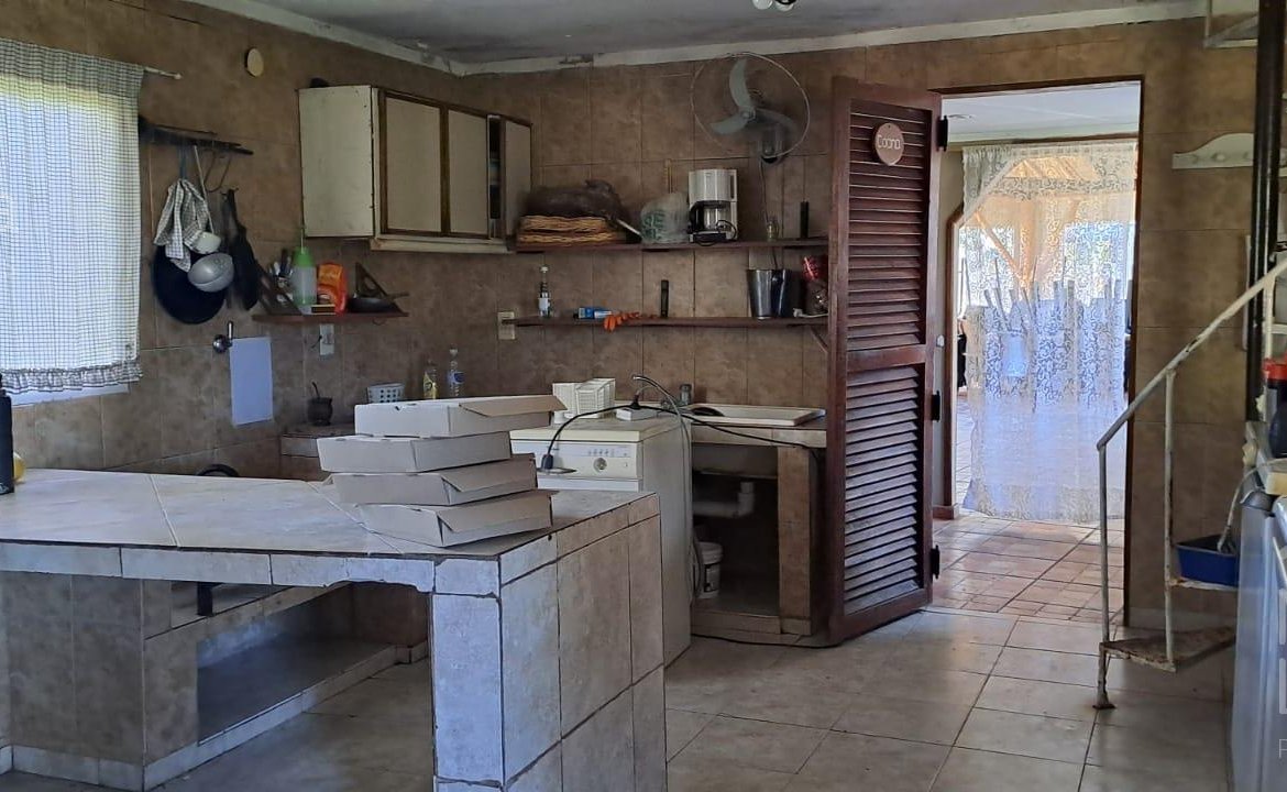 Quinta – Arana
