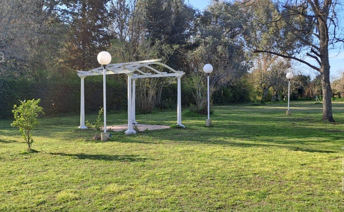Quinta – Arana