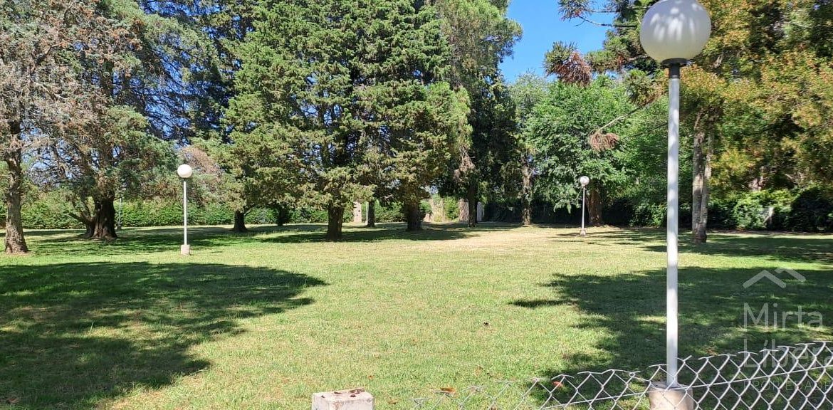Quinta – Arana