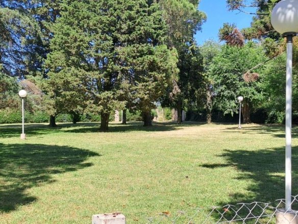 Quinta – Arana