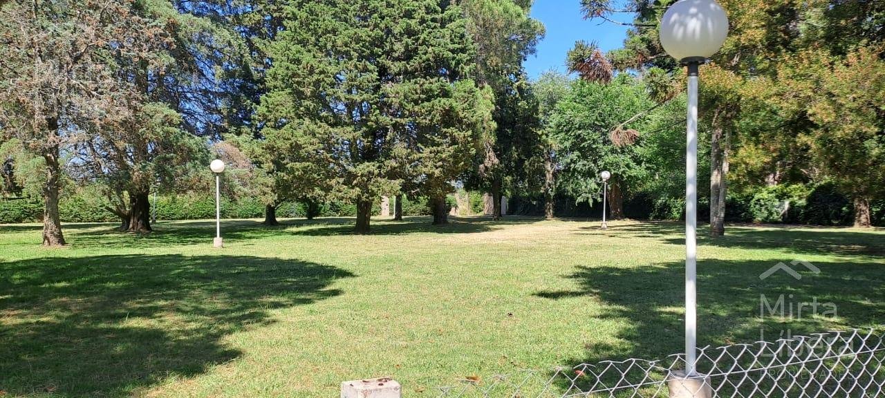 Quinta – Arana