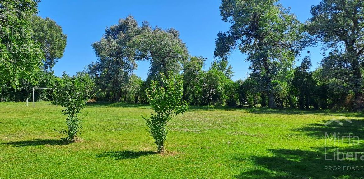 Quinta – Arana