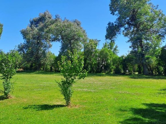 Quinta – Arana