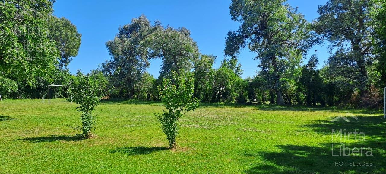 Quinta – Arana
