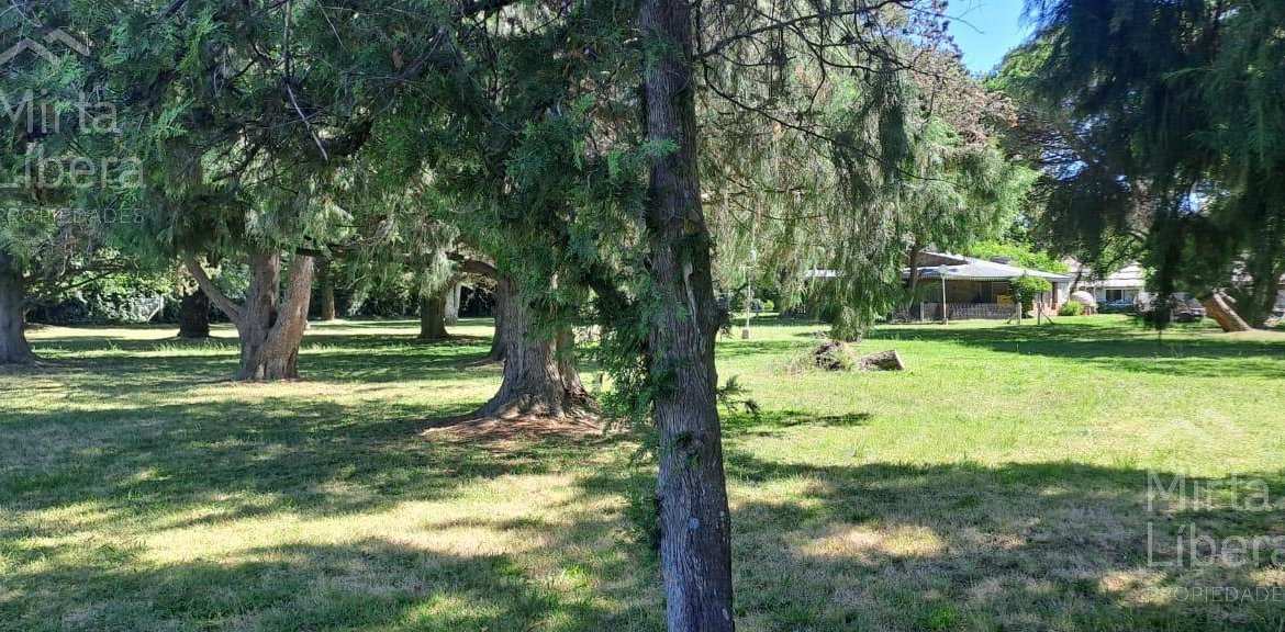 Quinta – Arana