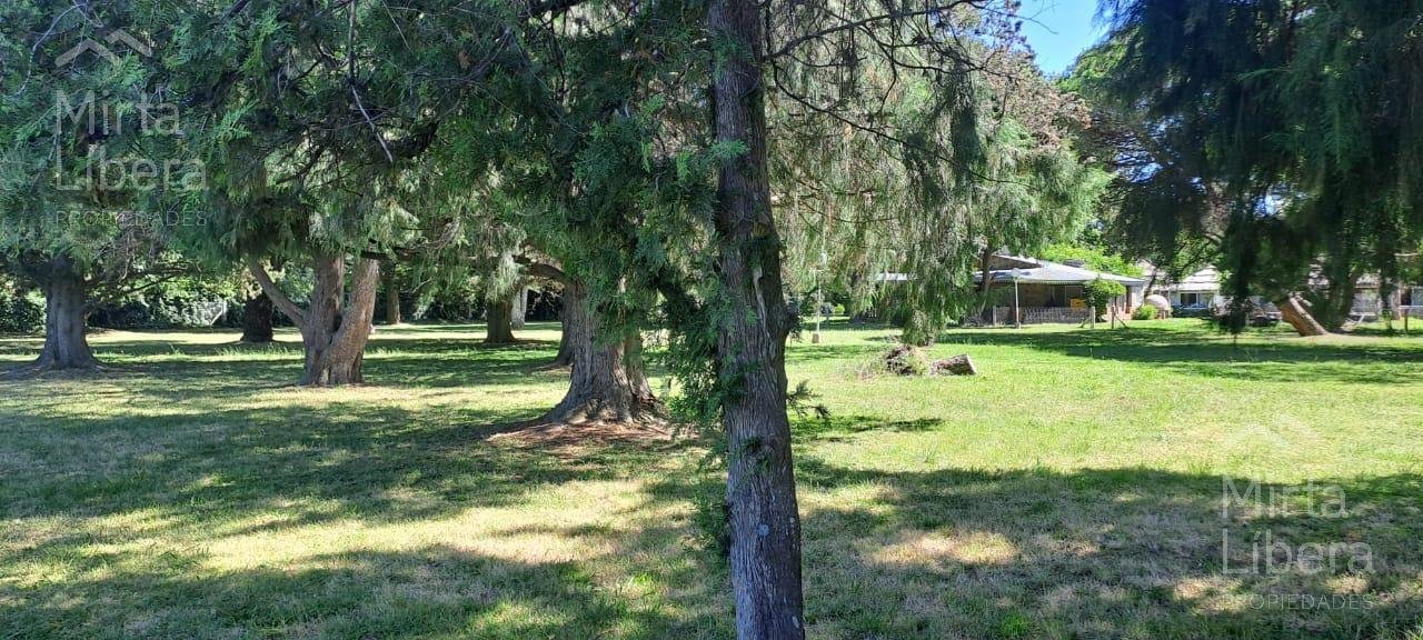 Quinta – Arana