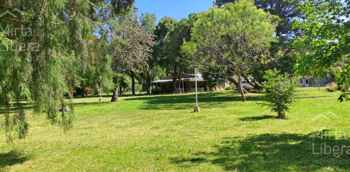 Quinta – Arana