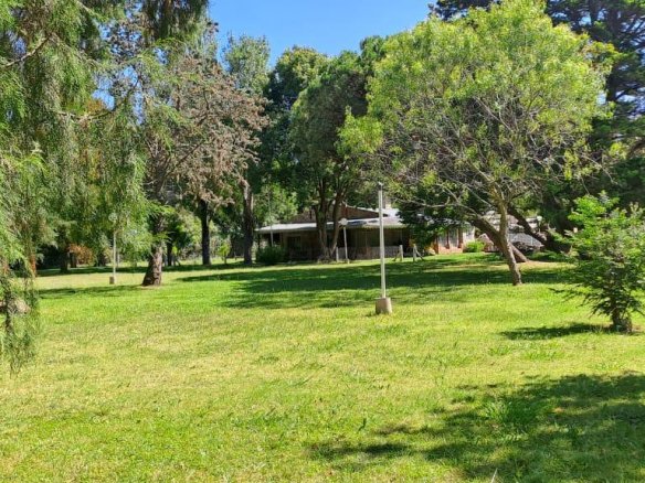 Quinta – Arana