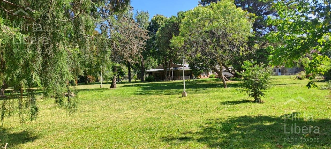 Quinta – Arana