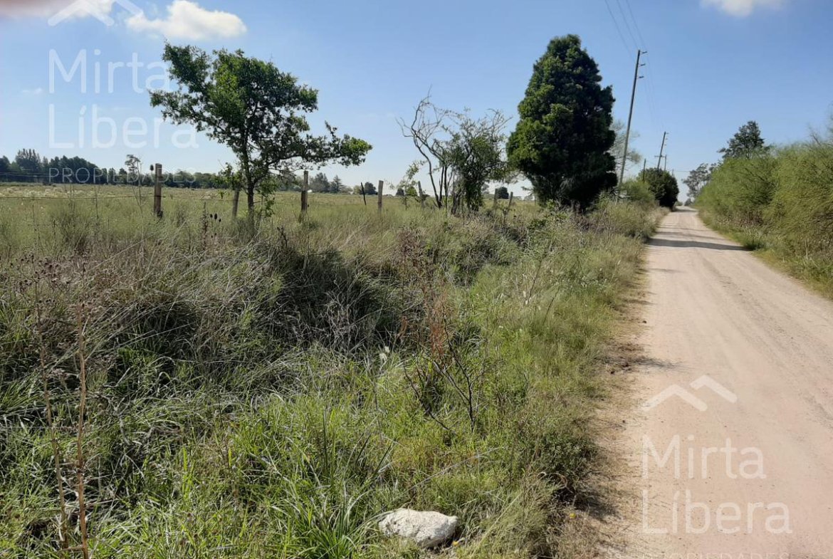 Terreno – Bme Bavio Gral Mansilla