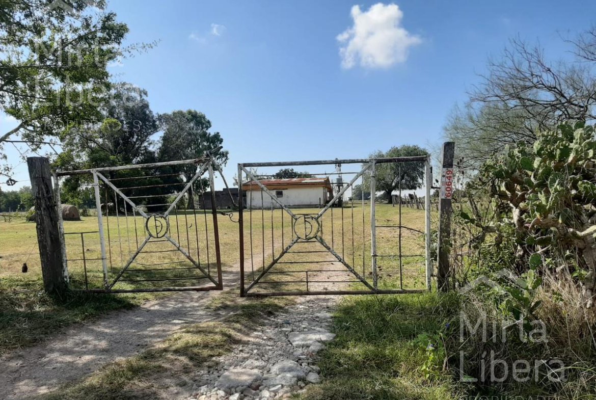 Terreno – Bme Bavio Gral Mansilla