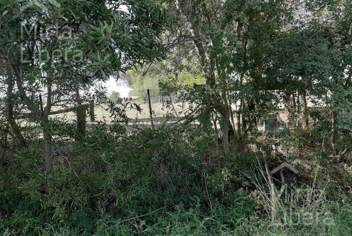Terreno – Bme Bavio Gral Mansilla