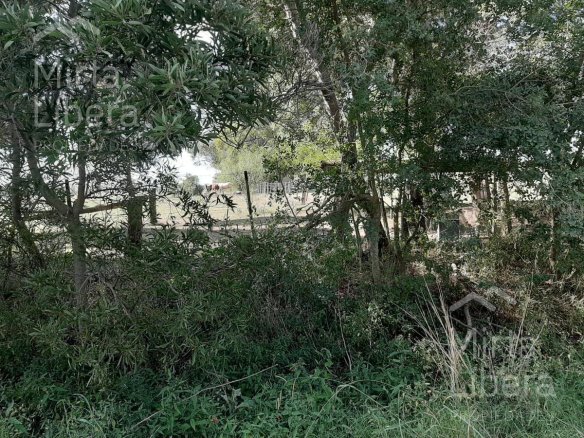 Terreno – Bme Bavio Gral Mansilla