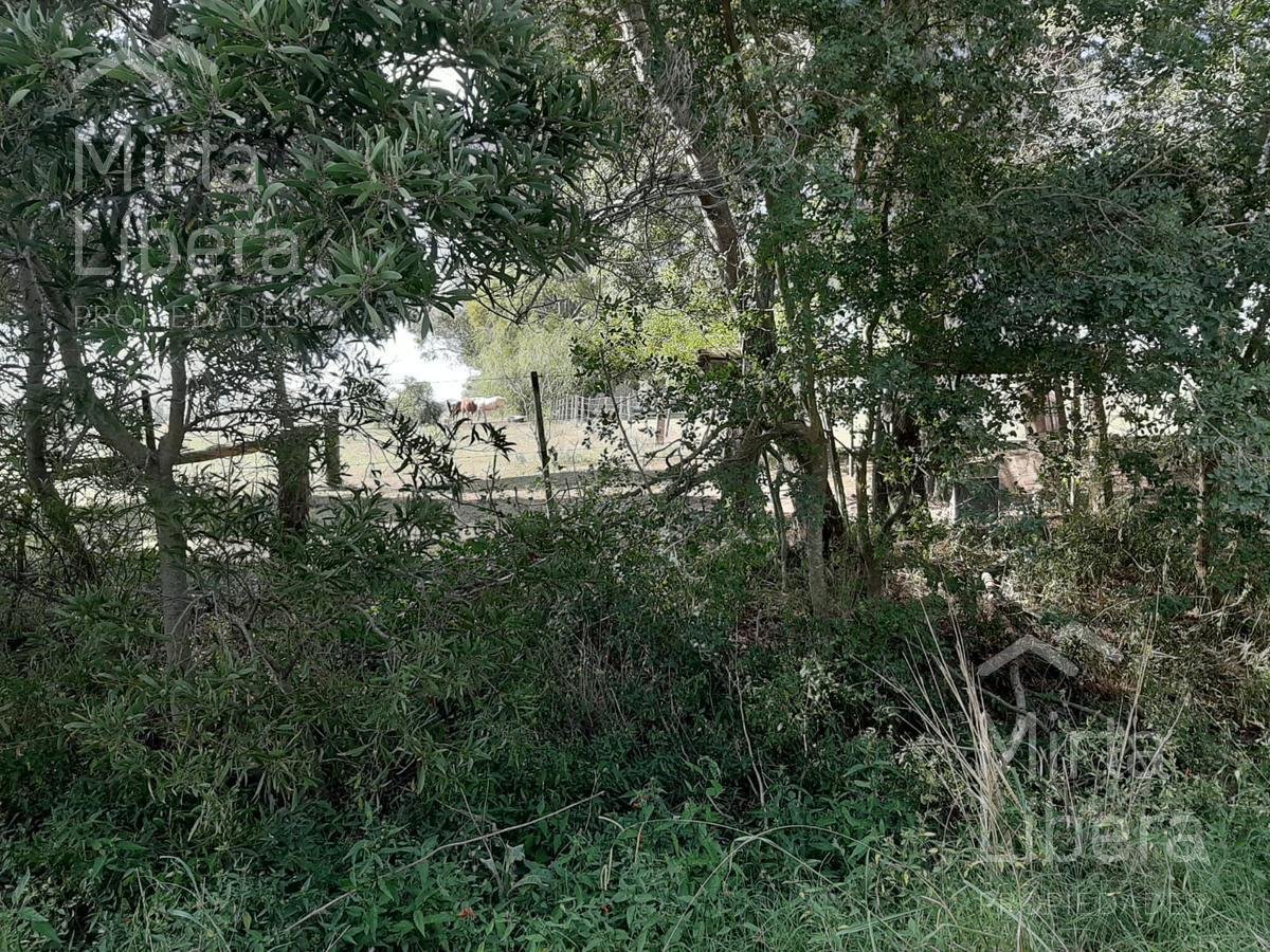 Terreno – Bme Bavio Gral Mansilla