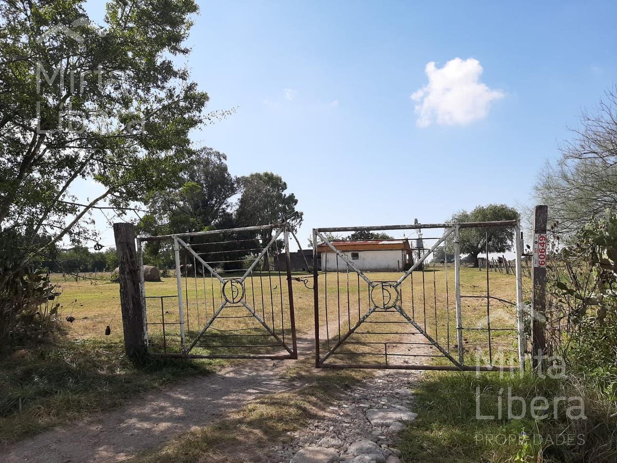 Terreno – Bme Bavio Gral Mansilla