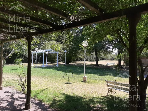 Quinta – Arana