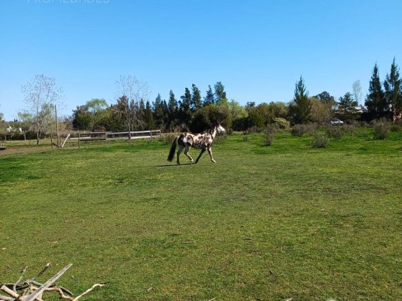 Quinta en Villa Parque Sicardi