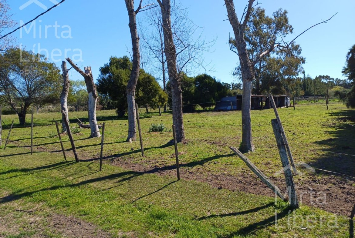 Quinta en Villa Parque Sicardi