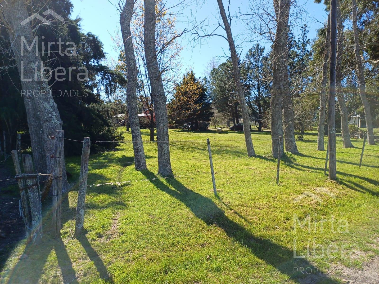Quinta en Villa Parque Sicardi