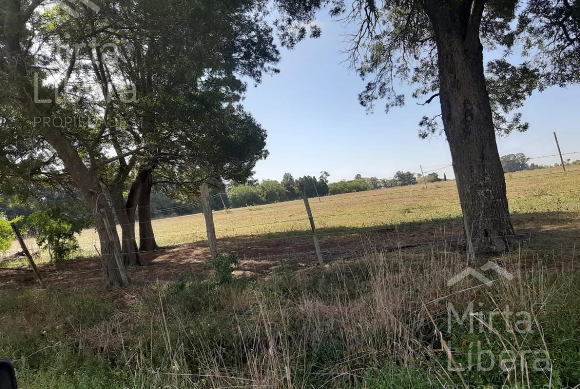 Terreno – Bme Bavio Gral Mansilla