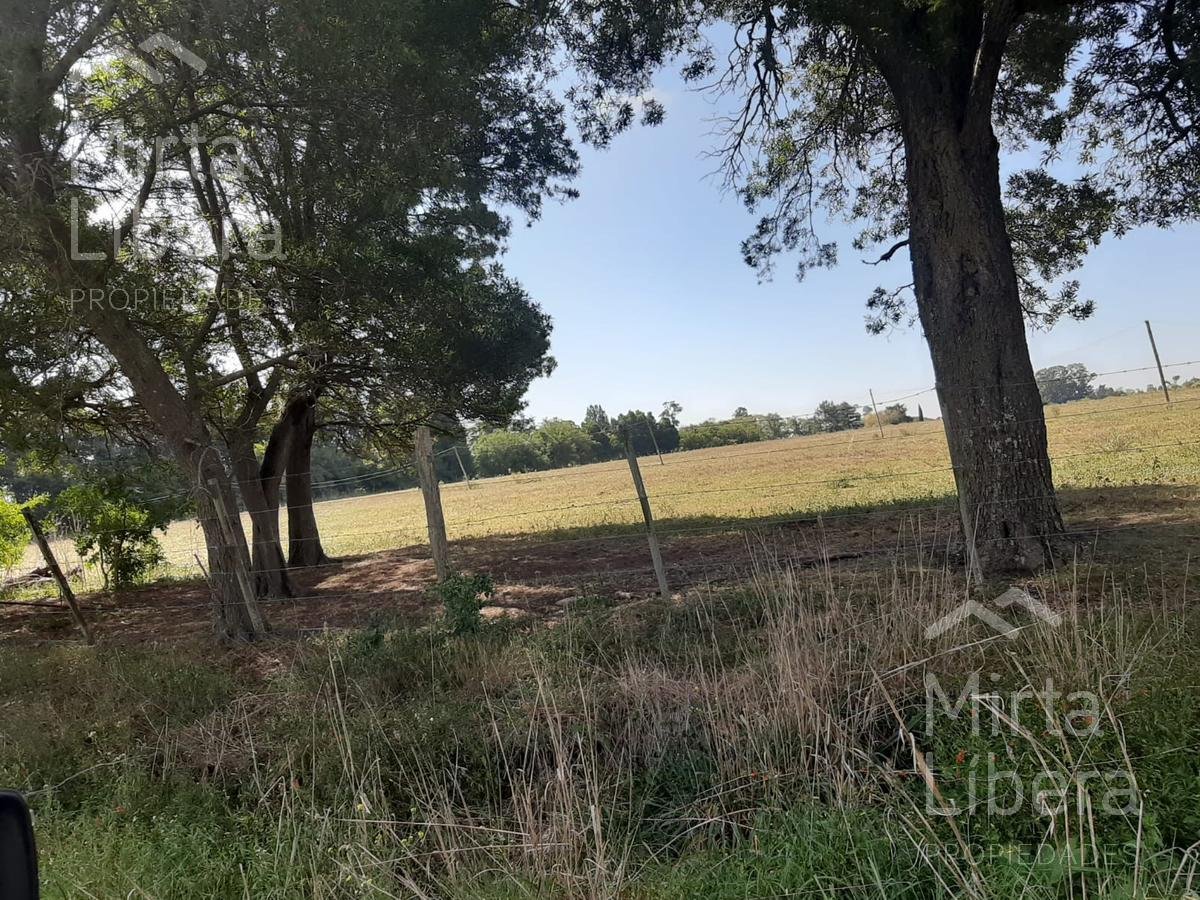 Terreno – Bme Bavio Gral Mansilla