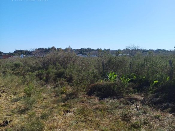 Campo en magdalena