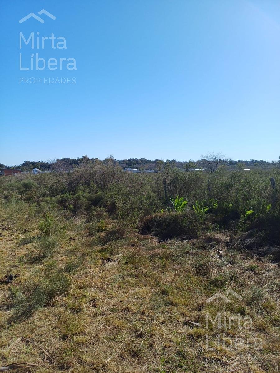 Campo en magdalena